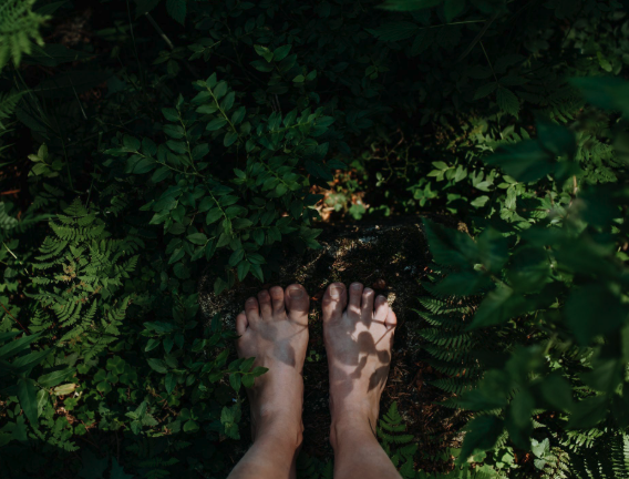 forest bathing